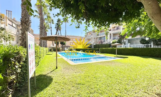 Alquiler de invierno - Apartamento - Torrevieja - torrevieja