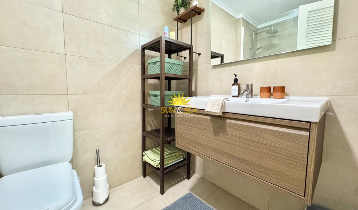 Alquiler de invierno - Apartamento - Torrevieja - torrevieja