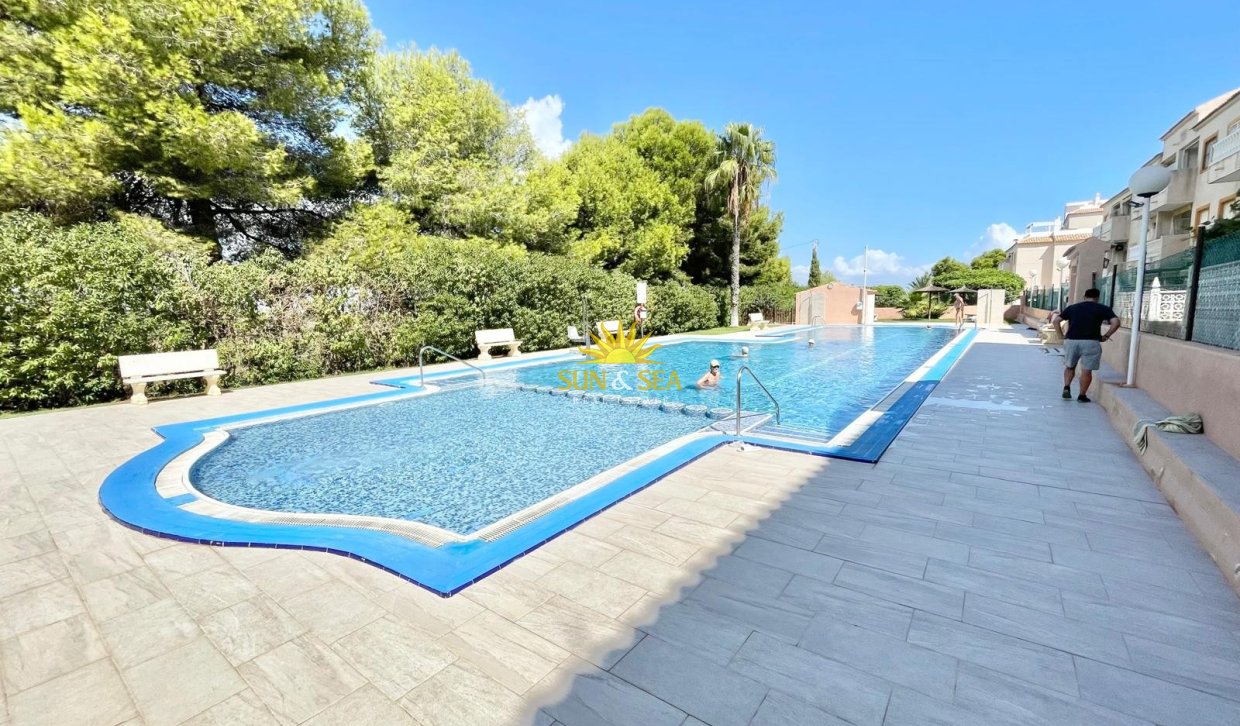 Kurzzeit-Vermietung - Ground Floor - Torrevieja - torrevieja