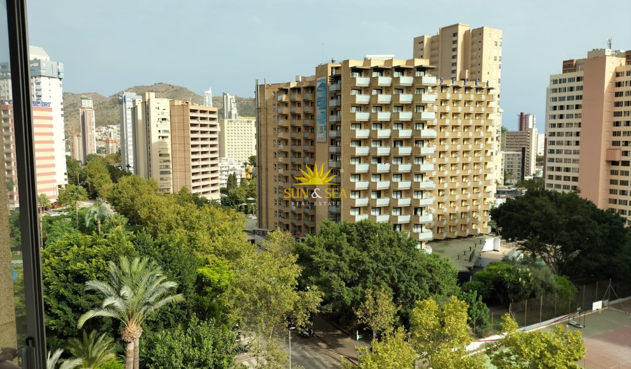 Kurzzeit-Vermietung - Wohnung - Benidorm