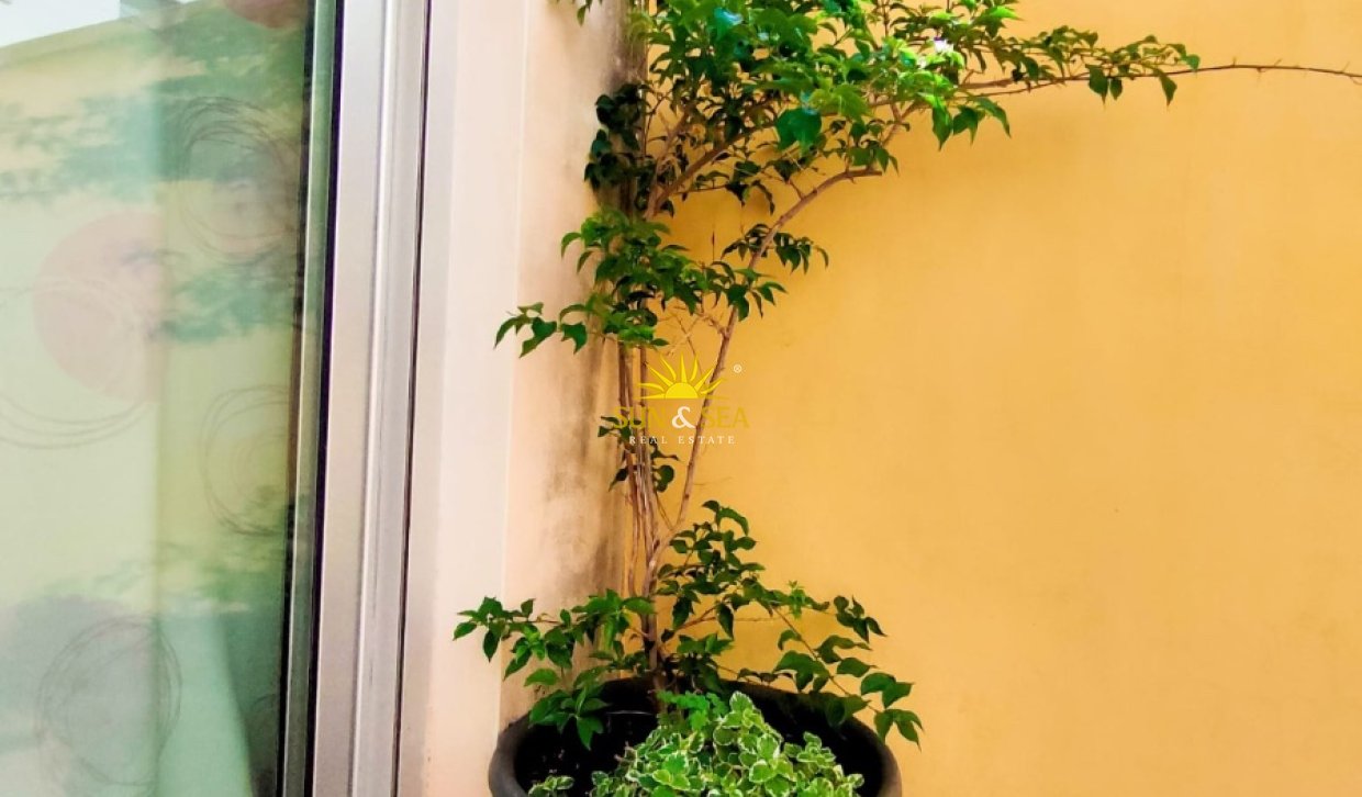 Kurzzeit-Vermietung - Wohnung - Alicante (Alacant)