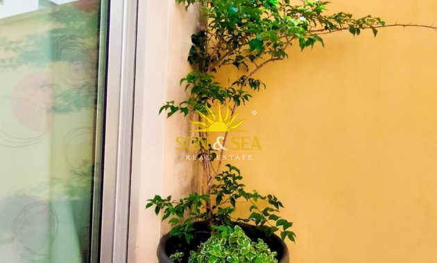 Kurzzeit-Vermietung - Wohnung - Alicante (Alacant)