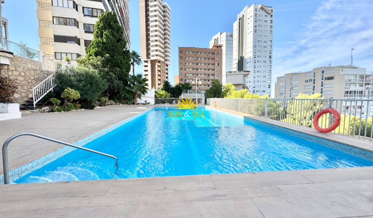 Зимняя аренда - Studio apartment - Benidorm
