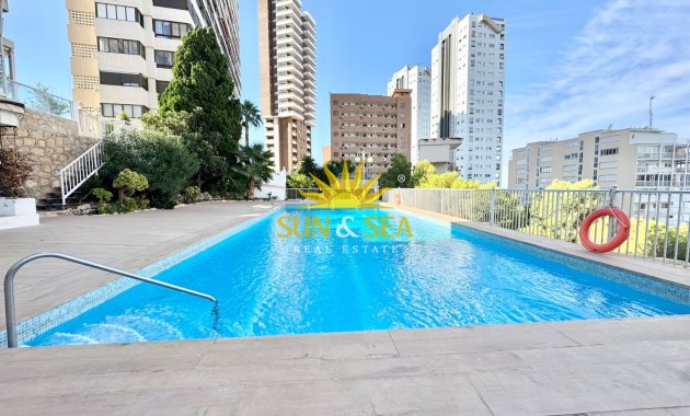 Зимняя аренда - Studio apartment - Benidorm