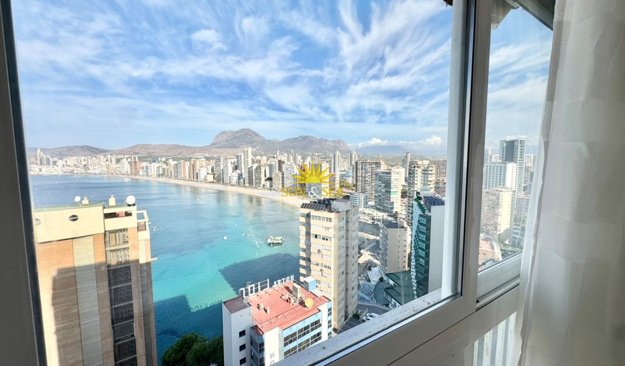 Зимняя аренда - Studio apartment - Benidorm