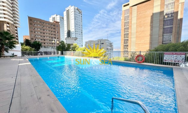 Зимняя аренда - Studio apartment - Benidorm