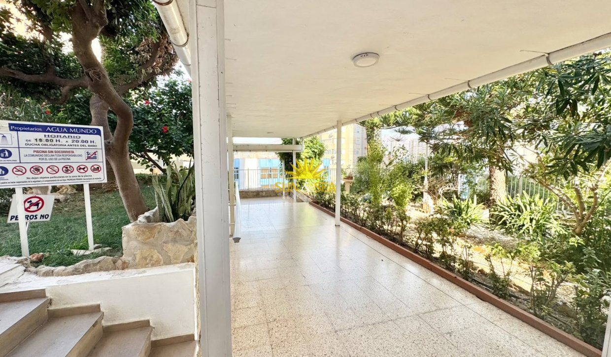 Зимняя аренда - Studio apartment - Benidorm