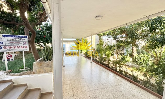Зимняя аренда - Studio apartment - Benidorm