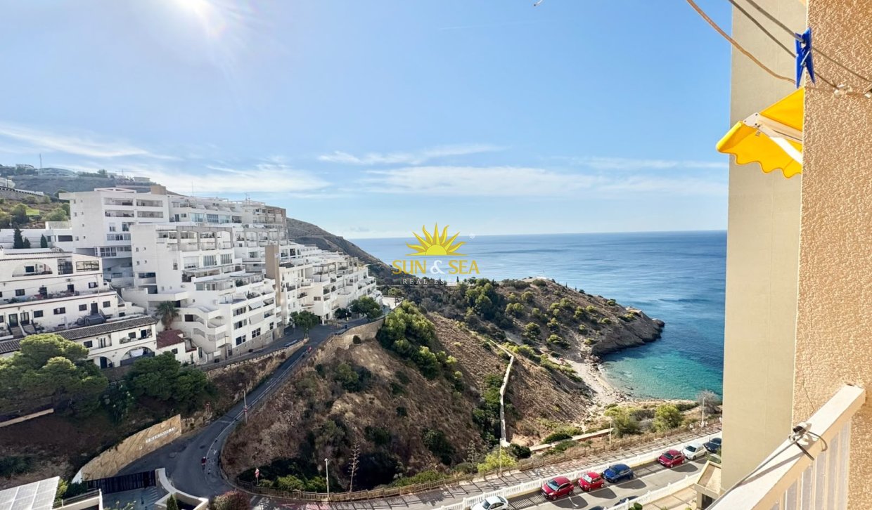 Зимняя аренда - Studio apartment - Benidorm