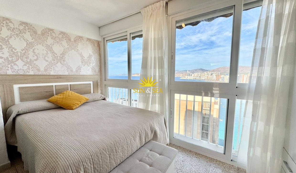 Зимняя аренда - Studio apartment - Benidorm