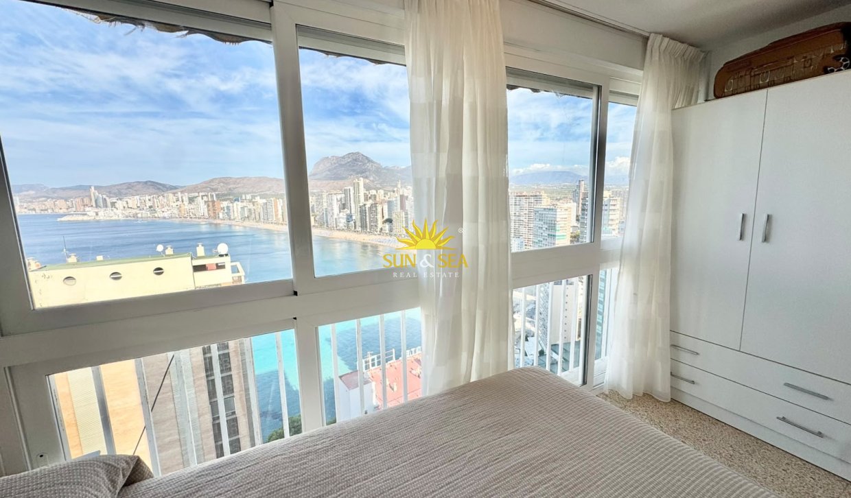 Зимняя аренда - Studio apartment - Benidorm