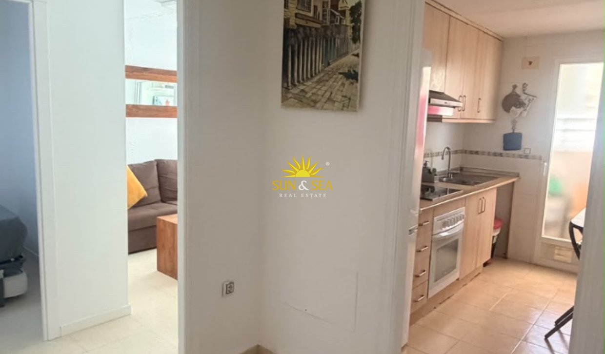 Winter rental - Apartment - Benidorm