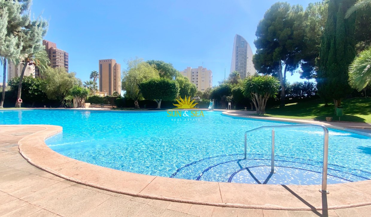 Langfristige Vermietung - Wohnung - Benidorm