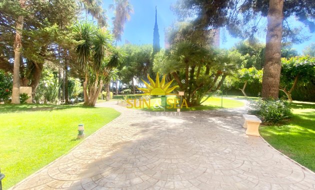 Langfristige Vermietung - Wohnung - Benidorm