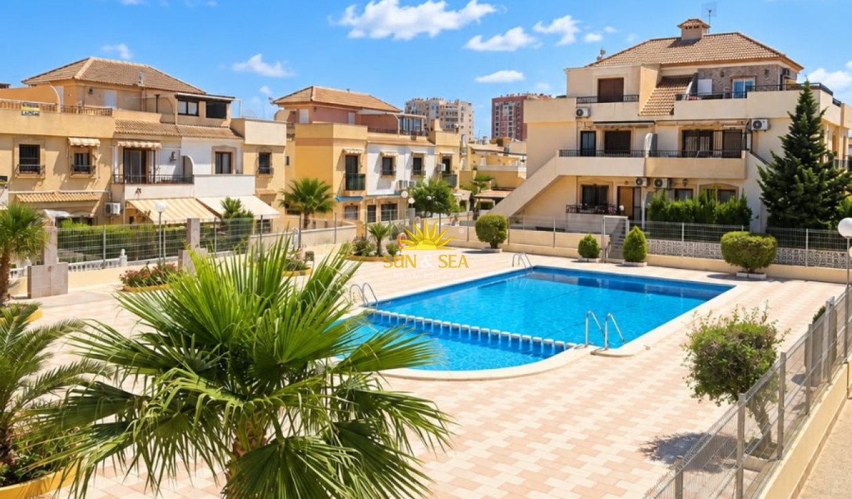 Winter rental - Apartment - Torrevieja - torrevieja