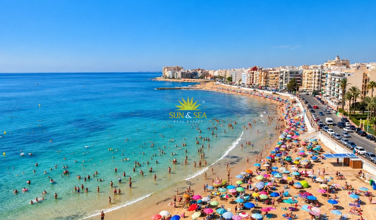 Winter rental - Apartment - Torrevieja - torrevieja