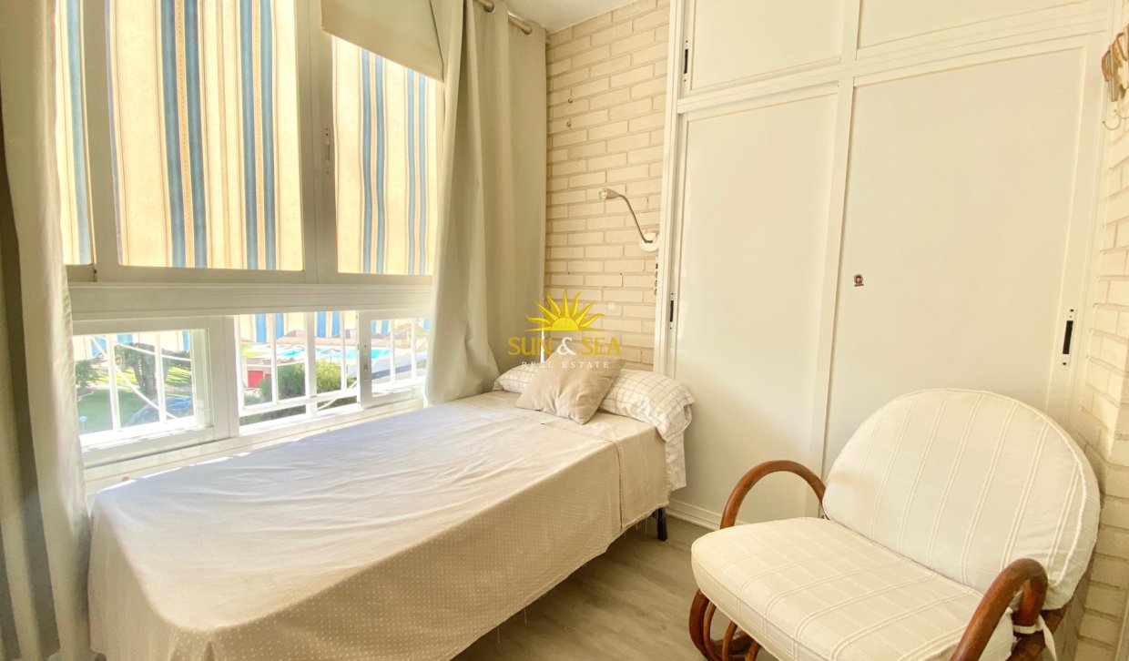 Winter rental - Apartment - Alicante (Alacant)