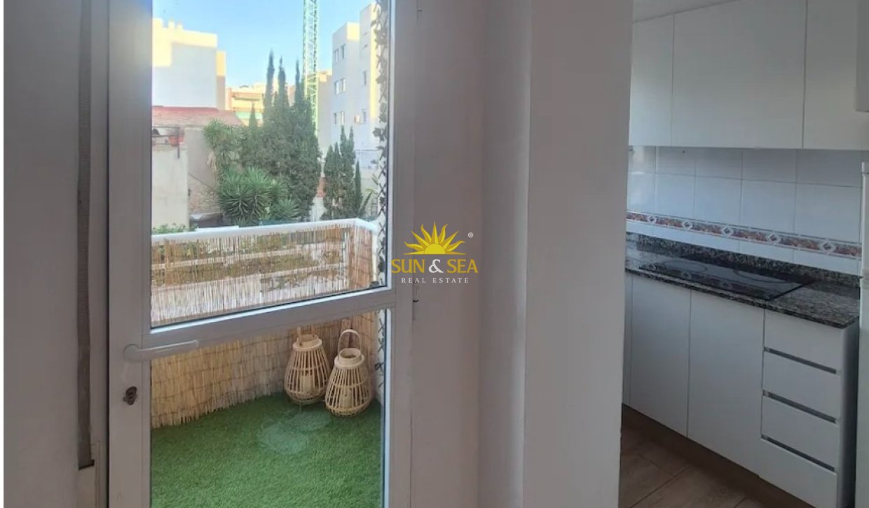 Winter rental - Apartment - Torrevieja - Centro