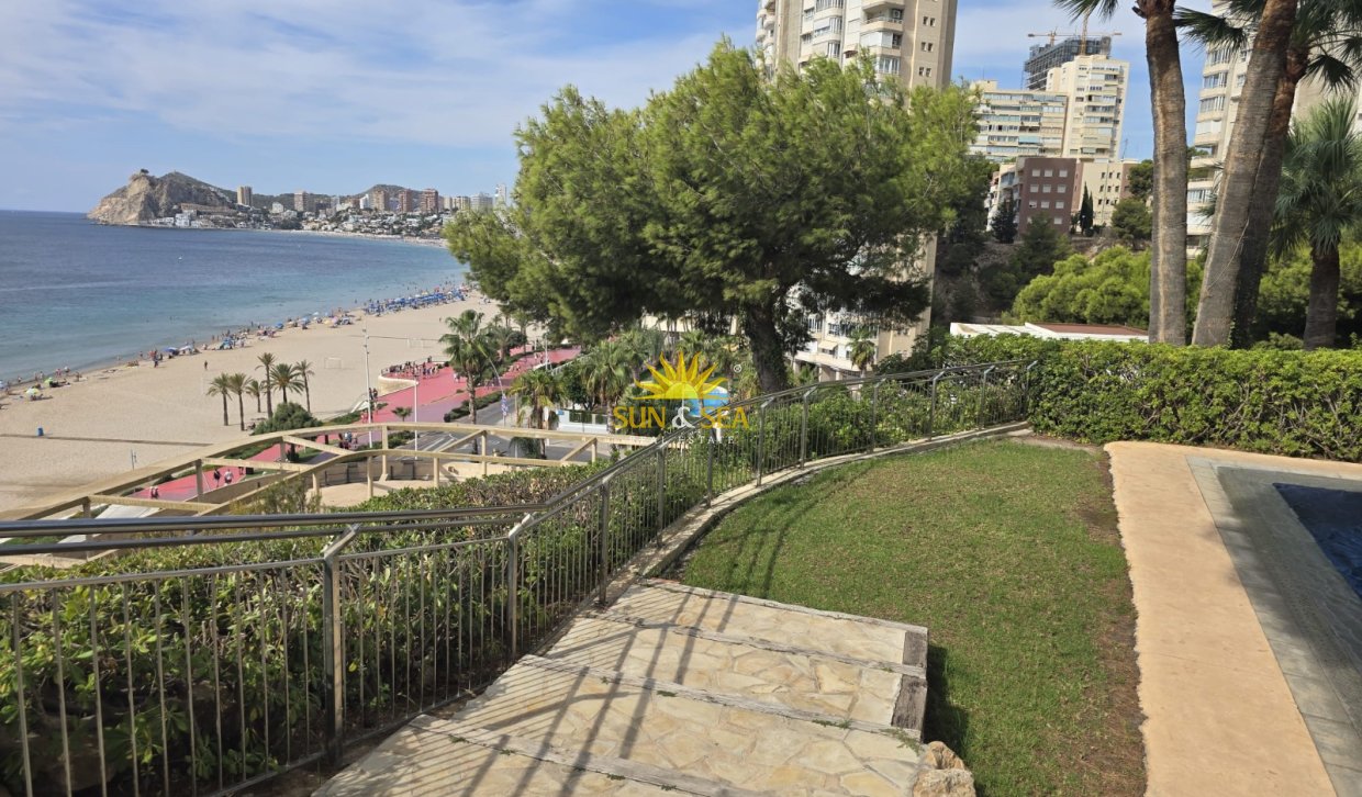 Location à long terme - Appartement - Benidorm