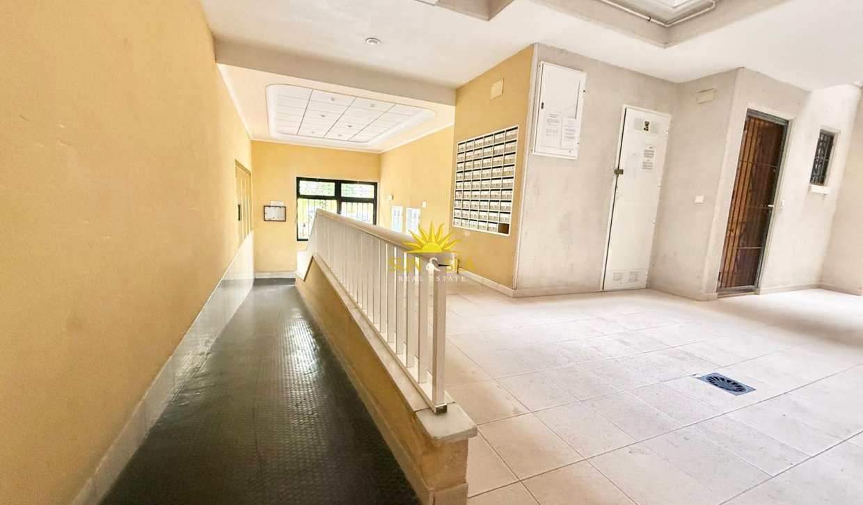 Long Term Rental - Apartment - Torrevieja - Centro