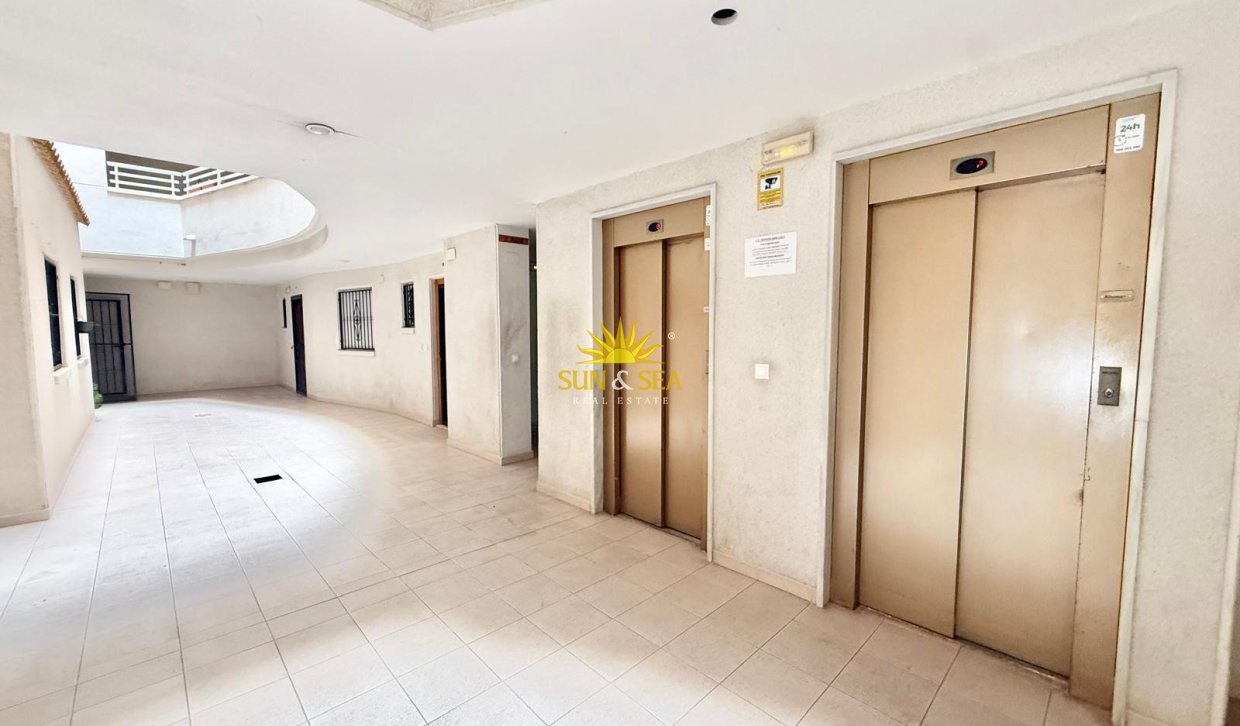 Long Term Rental - Apartment - Torrevieja - Centro