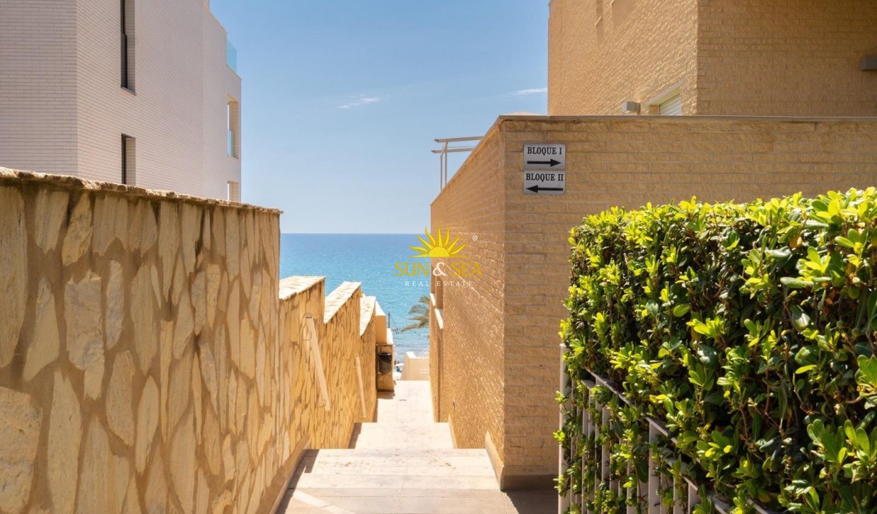 Location d’hiver - Appartement - El Campello