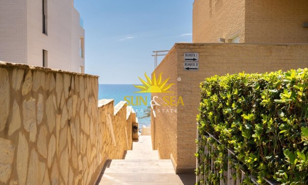 Location d’hiver - Appartement - El Campello
