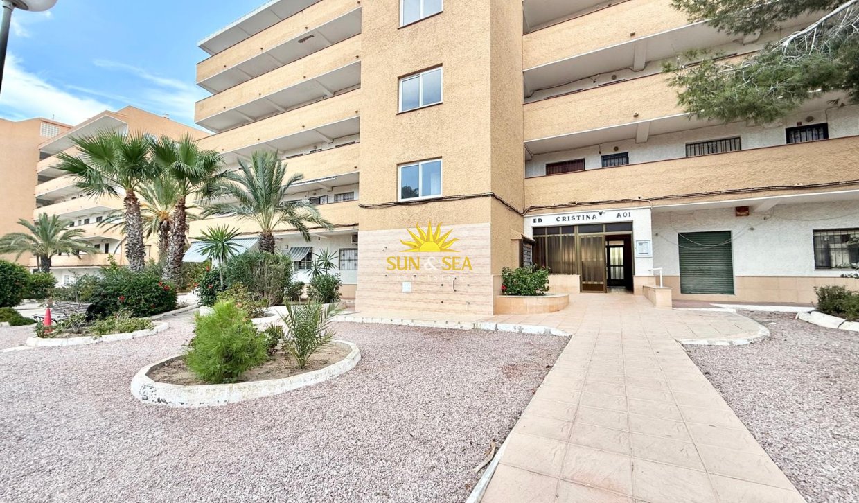 Location à long terme - Appartement - Guardamar del Segura - Lomas de Polo-Pinomar