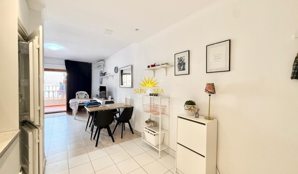 Location d’hiver - Appartement - Torrevieja - torrevieja
