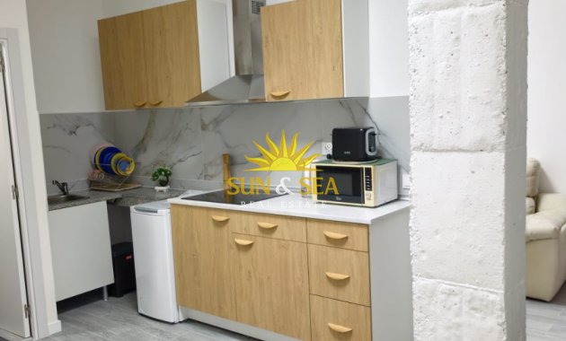Lange Termijn Verhuur - Studio apartment - Alicante (Alacant)