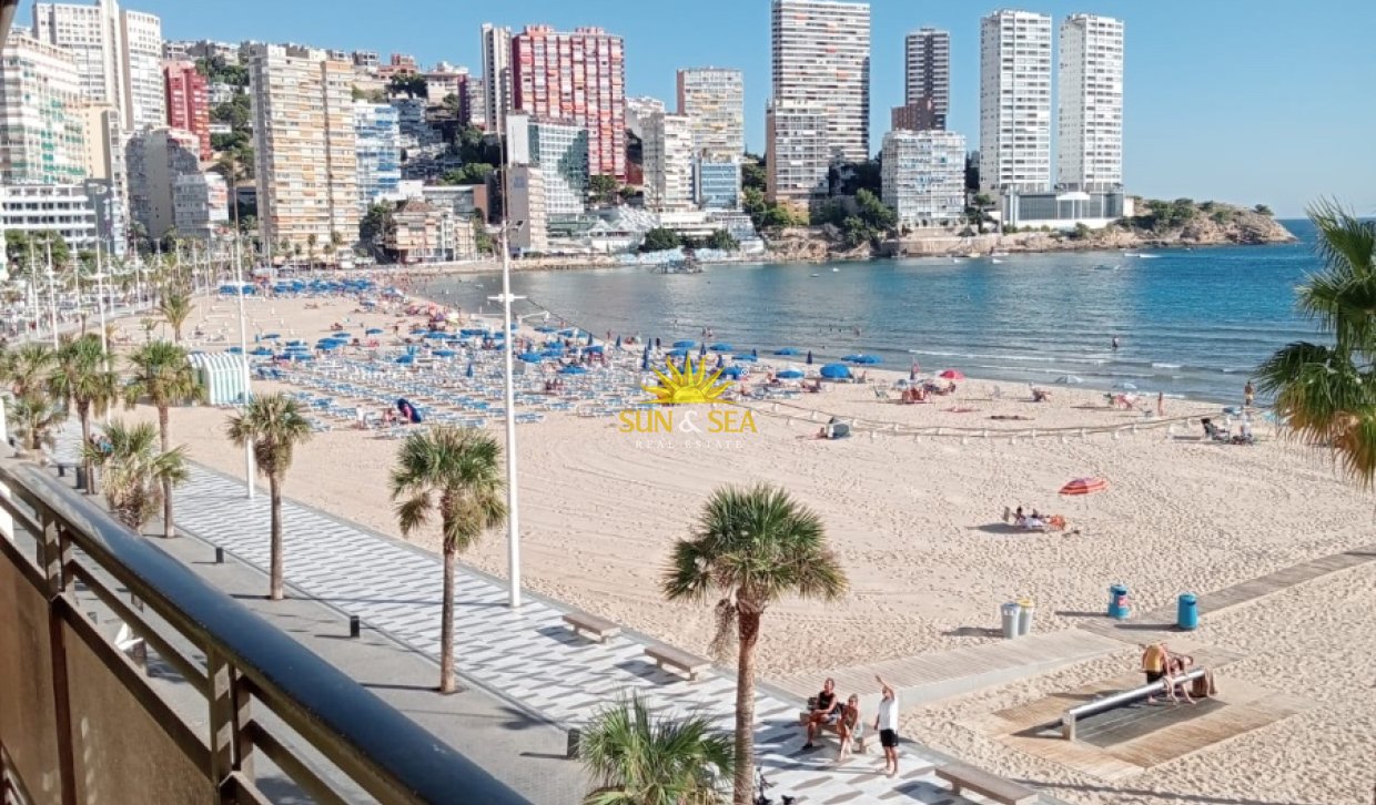 Kurzzeit-Vermietung - Wohnung - Benidorm