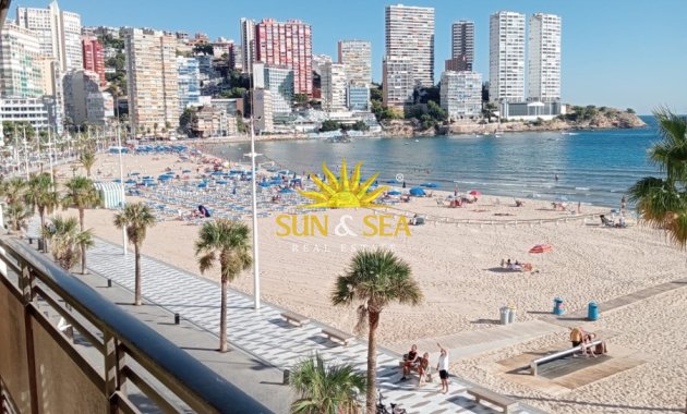 Kurzzeit-Vermietung - Wohnung - Benidorm