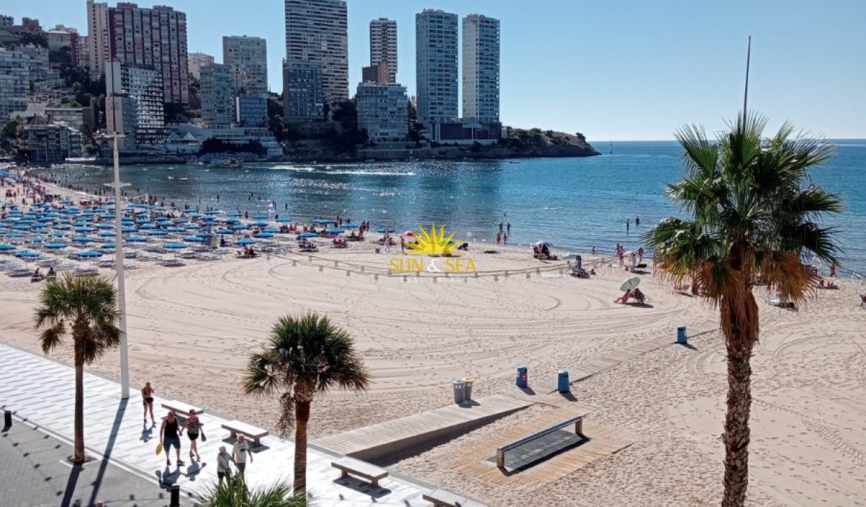 Kurzzeit-Vermietung - Wohnung - Benidorm