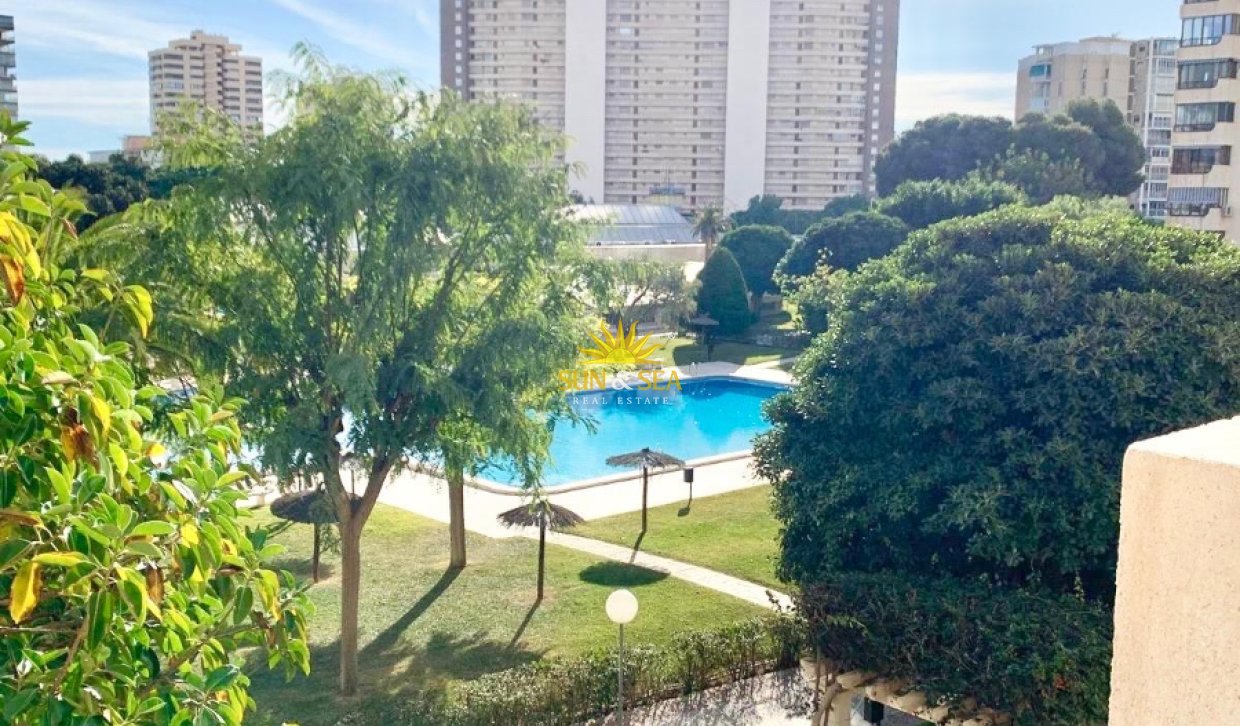 Langfristige Vermietung - Wohnung - Alicante (Alacant)