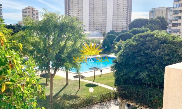 Langfristige Vermietung - Wohnung - Alicante (Alacant)