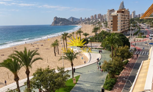 Langfristige Vermietung - Wohnung - Benidorm