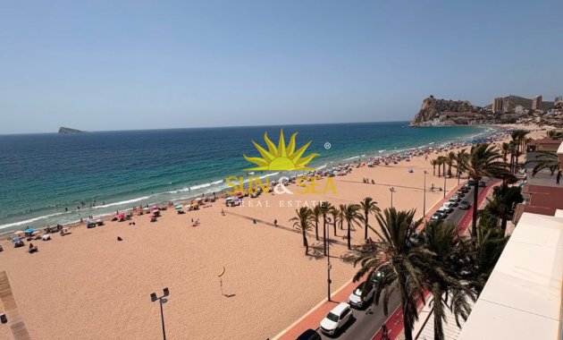 Kurzzeit-Vermietung - Wohnung - Benidorm - Poniente