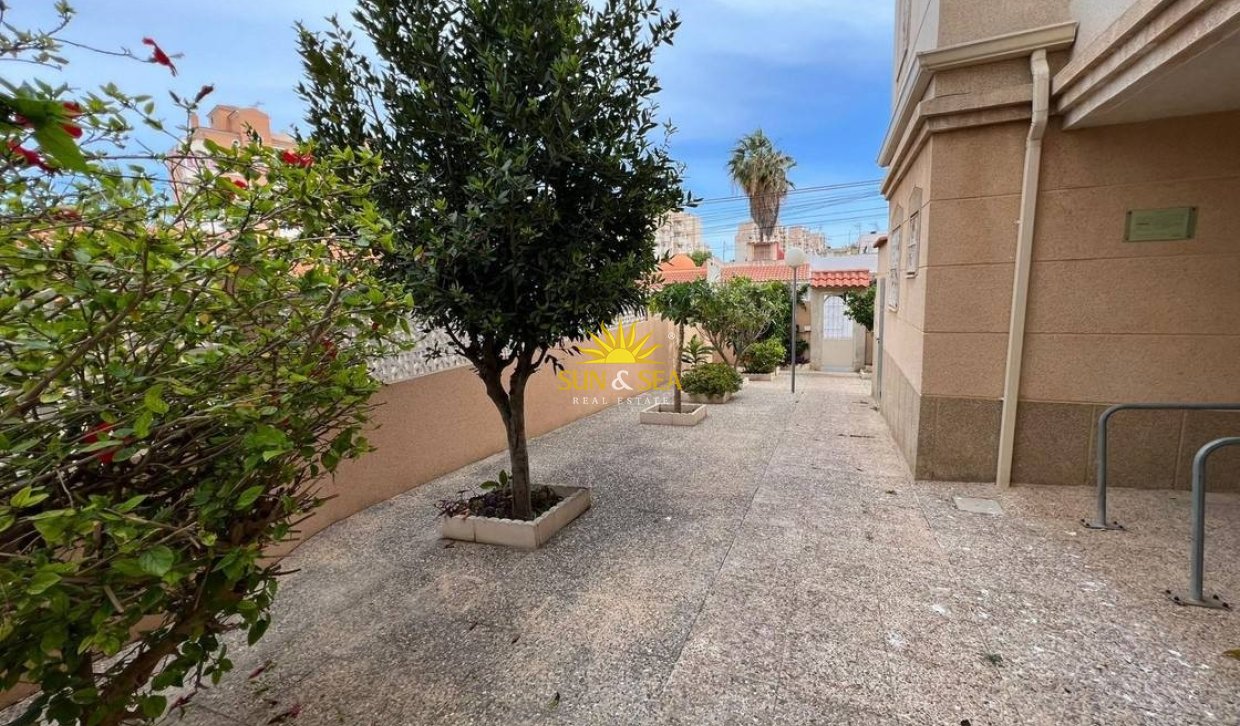 Wiederverkauf - Wohnung - Torrevieja - Nueva Torrevieja - Aguas Nuevas