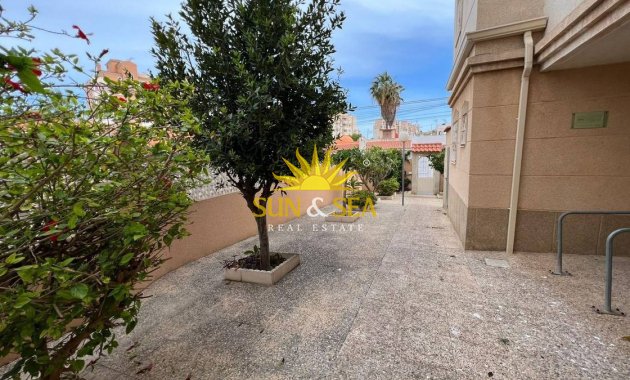 Wiederverkauf - Wohnung - Torrevieja - Nueva Torrevieja - Aguas Nuevas