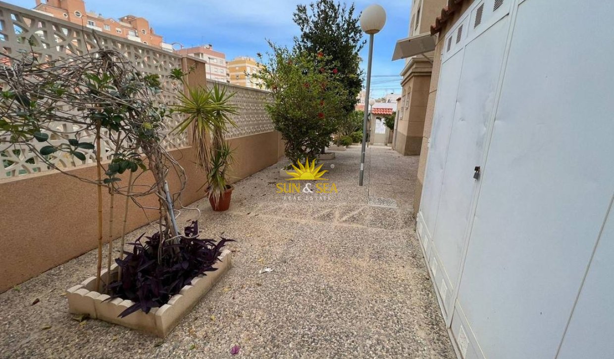 Wiederverkauf - Wohnung - Torrevieja - Nueva Torrevieja - Aguas Nuevas