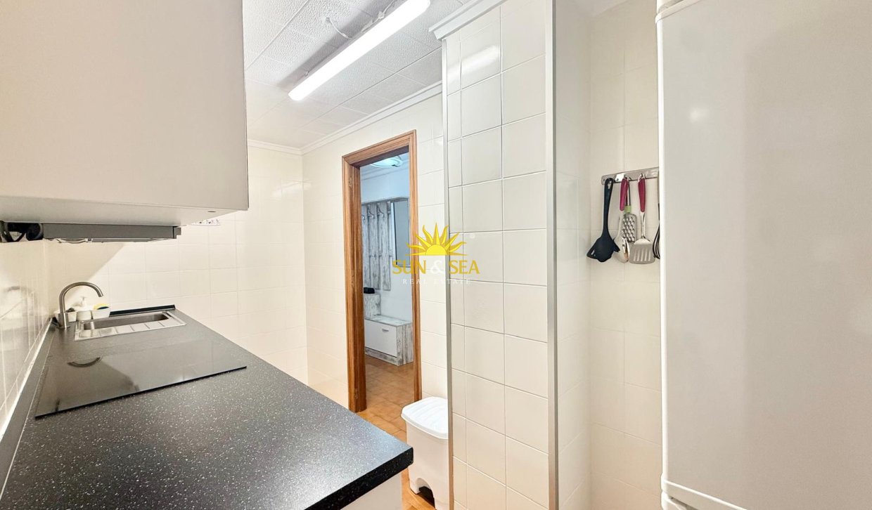 Winter rental - Apartment - Torrevieja - torrevieja