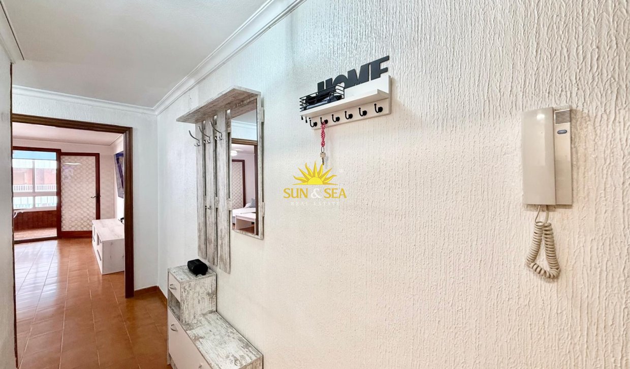 Winter rental - Apartment - Torrevieja - torrevieja