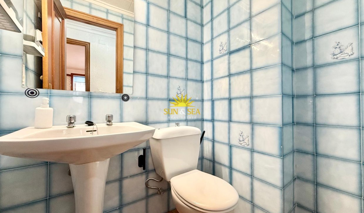 Winter rental - Apartment - Torrevieja - torrevieja