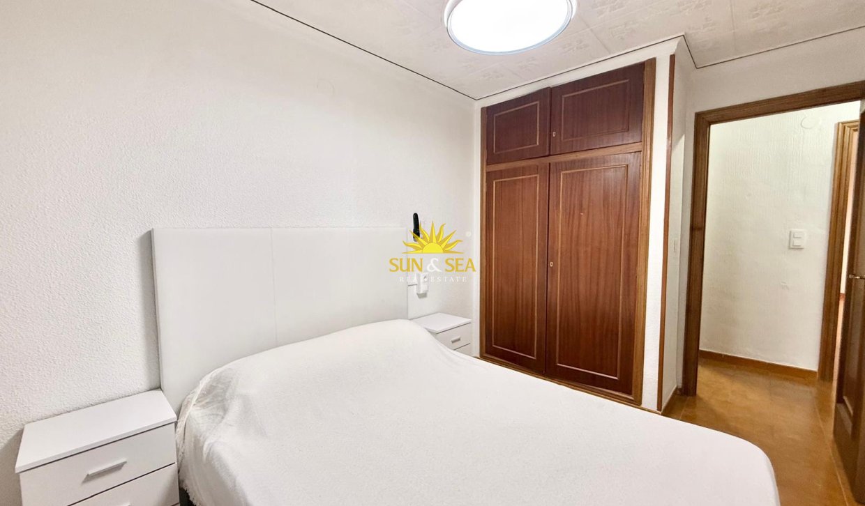 Winter rental - Apartment - Torrevieja - torrevieja