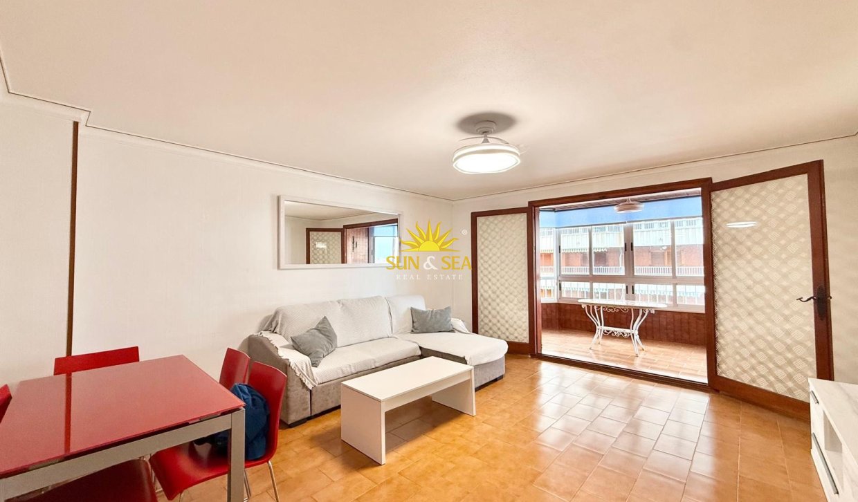 Winter rental - Apartment - Torrevieja - torrevieja