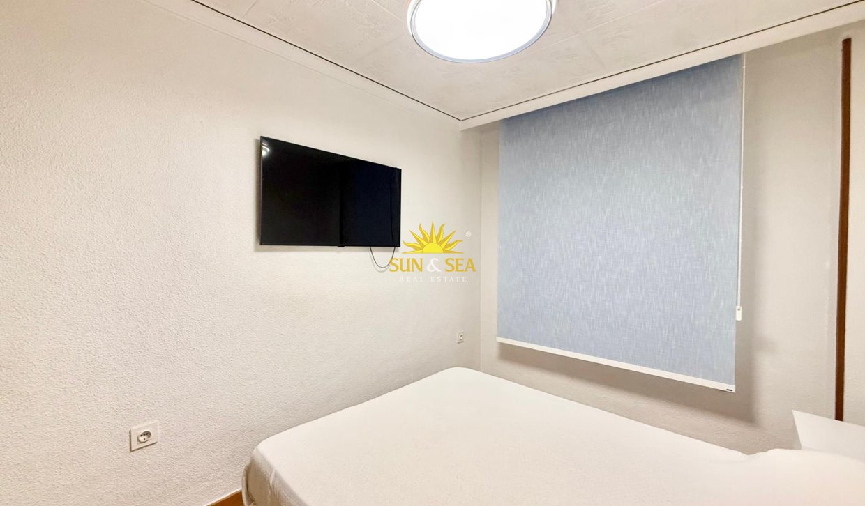 Winter rental - Apartment - Torrevieja - torrevieja