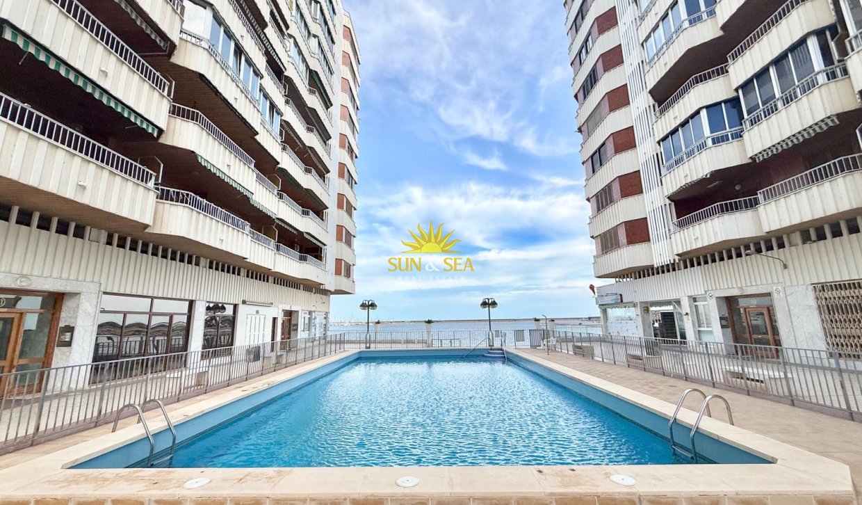 Winter rental - Apartment - Torrevieja - torrevieja