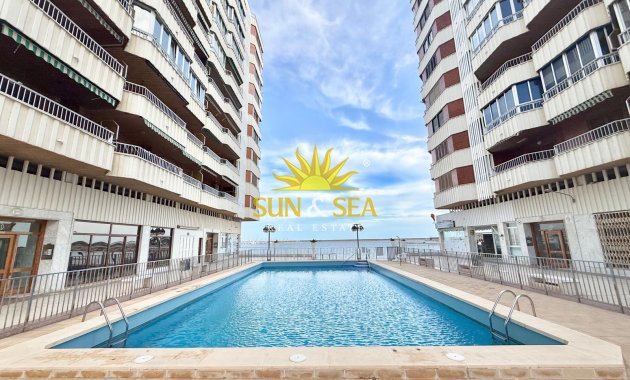 Winter rental - Apartment - Torrevieja - torrevieja