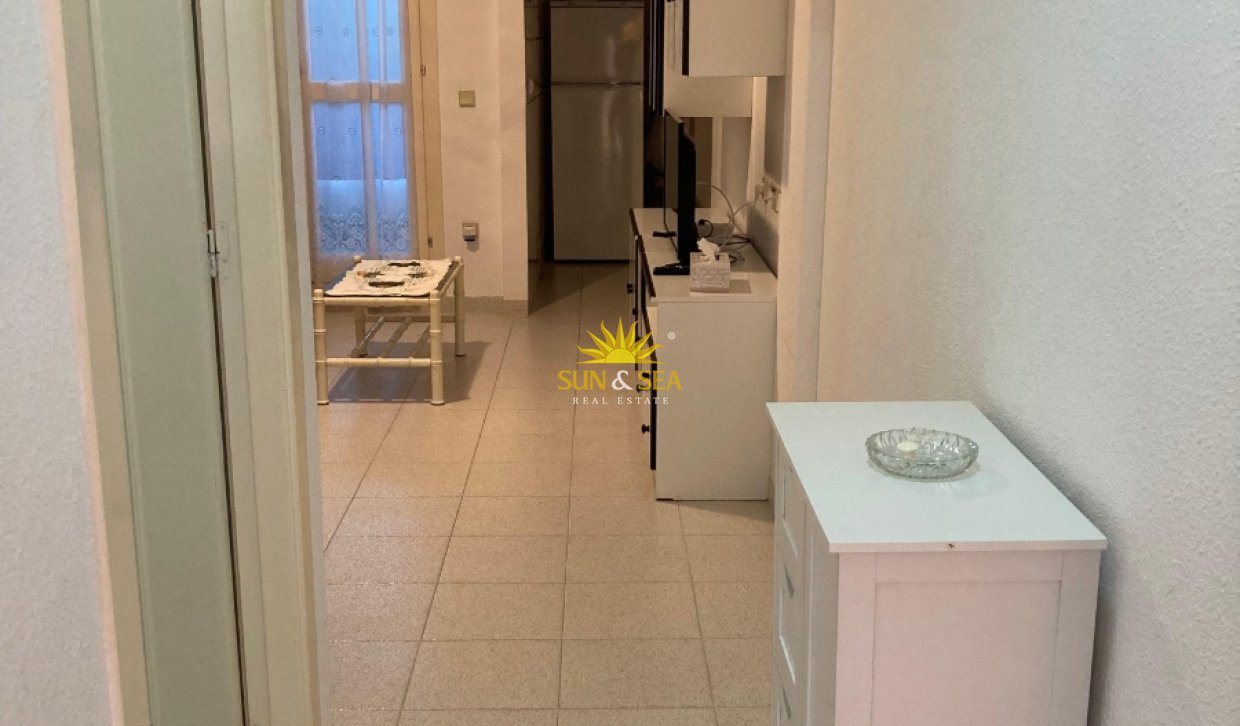 Winter rental - Apartment - Torrevieja - torrevieja