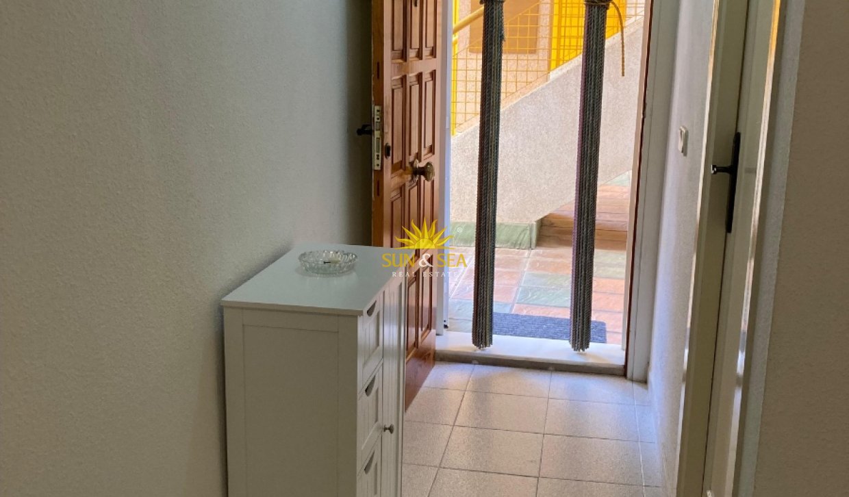 Winter rental - Apartment - Torrevieja - torrevieja